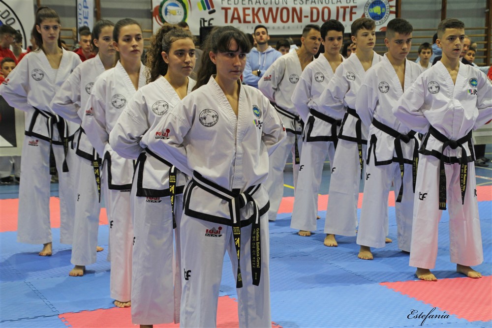Copa Seul 2018 (334).jpg